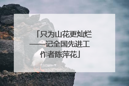 只为山花更灿烂——记全国先进工作者陈萍花