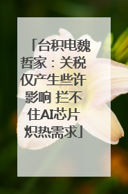 台积电魏哲家:关税仅产生些许影响 拦不住AI芯片炽热需求