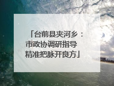 台前县夹河乡：市政协调研指导 精准把脉开良方