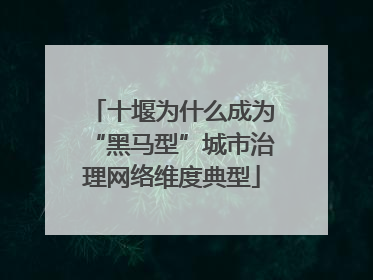 十堰为什么成为“黑马型”城市治理网络维度典型