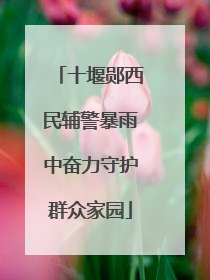 十堰郧西民辅警暴雨中奋力守护群众家园