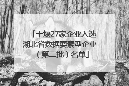 十堰27家企业入选湖北省数据要素型企业（第二批）名单