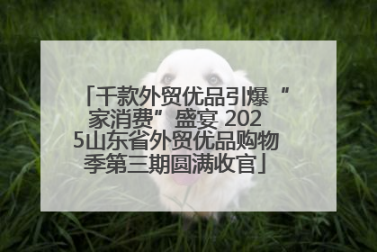千款外贸优品引爆“家消费”盛宴 2025山东省外贸优品购物季第三期圆满收官
