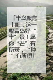 半岛聚焦丨瞧，这一幅青岛好“丰”景！愿你“芒”有所获，“种”有所得