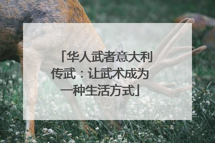 华人武者意大利传武：让武术成为一种生活方式
