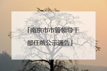 南京市市管领导干部任前公示通告