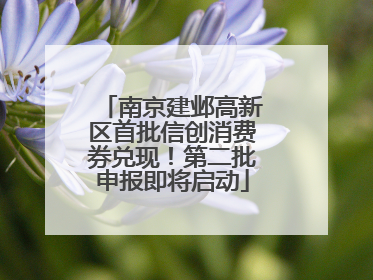 南京建邺高新区首批信创消费券兑现！第二批申报即将启动