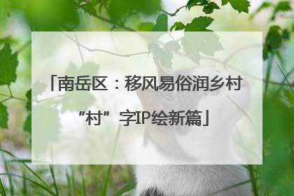 南岳区：移风易俗润乡村 “村”字IP绘新篇