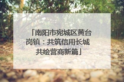 南阳市宛城区黄台岗镇：共筑信用长城 共绘营商新篇