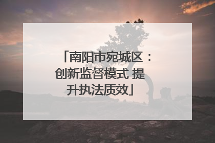 南阳市宛城区：创新监督模式 提升执法质效