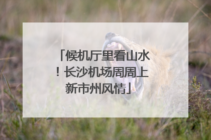 候机厅里看山水！长沙机场周周上新市州风情