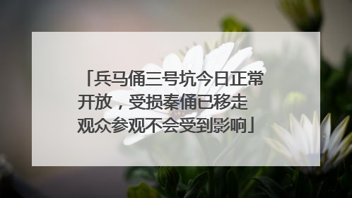 兵马俑三号坑今日正常开放，受损秦俑已移走 观众参观不会受到影响