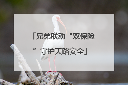 兄弟联动“双保险”守护天路安全