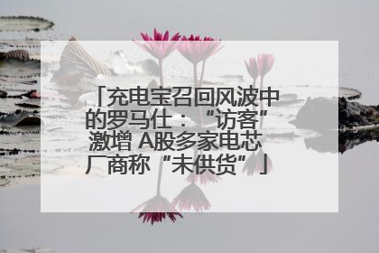 充电宝召回风波中的罗马仕：“访客”激增 A股多家电芯厂商称“未供货”