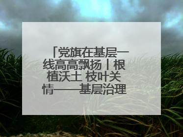 党旗在基层一线高高飘扬丨根植沃土 枝叶关情——基层治理中的先锋力量