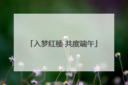 入梦红楼 共度端午
