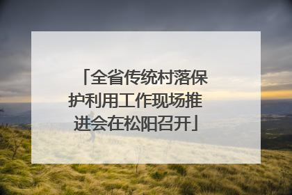 全省传统村落保护利用工作现场推进会在松阳召开