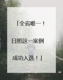 全省唯一！日照这一案例成功入选！