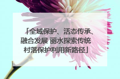 全域保护、活态传承、融合发展 丽水探索传统村落保护利用新路径