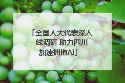 全国人大代表深入一线调研 助力四川加速拥抱AI