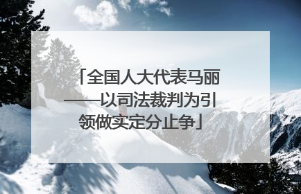 全国人大代表马丽——以司法裁判为引领做实定分止争
