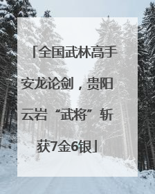 全国武林高手安龙论剑，贵阳云岩“武将”斩获7金6银