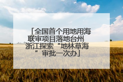 全国首个用地用海联审项目落地台州 浙江探索“地林草海”审批一次办
