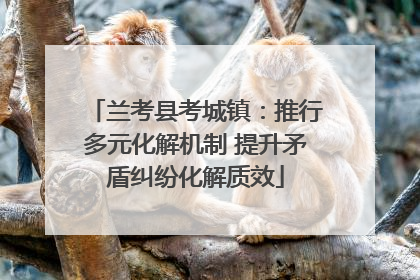 兰考县考城镇：推行多元化解机制 提升矛盾纠纷化解质效