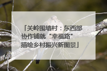 关岭围墙村：东西部协作铺就“幸福路” 描绘乡村振兴新图景