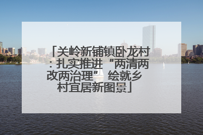 关岭新铺镇卧龙村：扎实推进“两清两改两治理” 绘就乡村宜居新图景