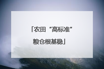 农田“高标准” 粮仓根基稳