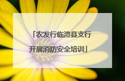 农发行临澧县支行开展消防安全培训