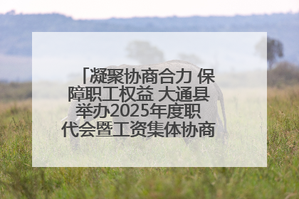 凝聚协商合力 保障职工权益 大通县举办2025年度职代会暨工资集体协商现场观摩交流活动