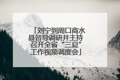 刘宁到周口商水县督导调研并主持召开全省“三夏”工作视频调度会