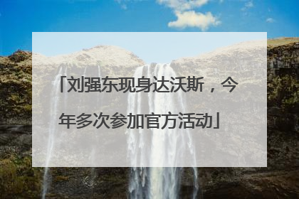 刘强东现身达沃斯，今年多次参加官方活动