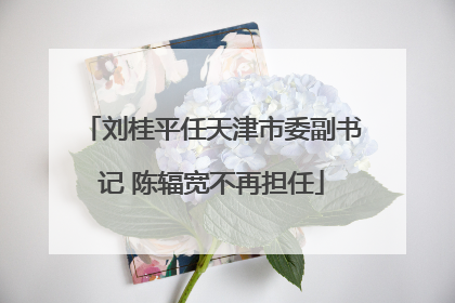 刘桂平任天津市委副书记 陈辐宽不再担任