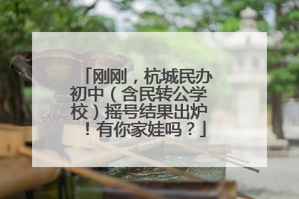 刚刚，杭城民办初中（含民转公学校）摇号结果出炉！有你家娃吗？