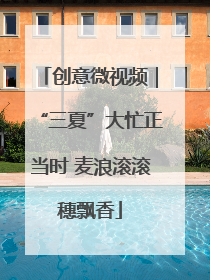 创意微视频｜“三夏”大忙正当时 麦浪滚滚穗飘香