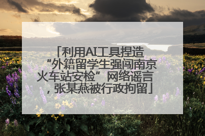 利用AI工具捏造 “外籍留学生强闯南京火车站安检”网络谣言，张某燕被行政拘留