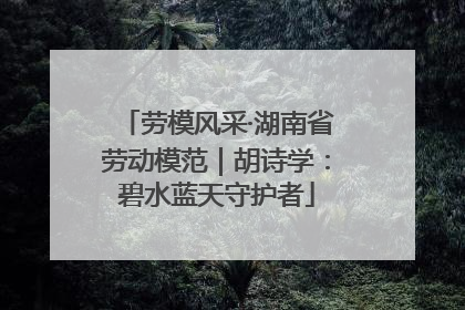 劳模风采·湖南省劳动模范｜胡诗学：碧水蓝天守护者