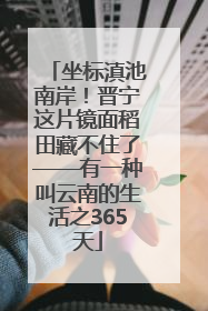 坐标滇池南岸！晋宁这片镜面稻田藏不住了——有一种叫云南的生活之365天