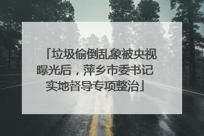垃圾偷倒乱象被央视曝光后，萍乡市委书记实地督导专项整治