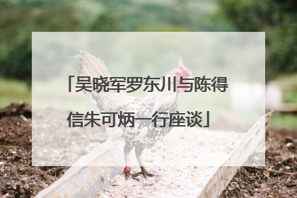 吴晓军罗东川与陈得信朱可炳一行座谈