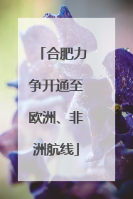 合肥力争开通至欧洲、非洲航线