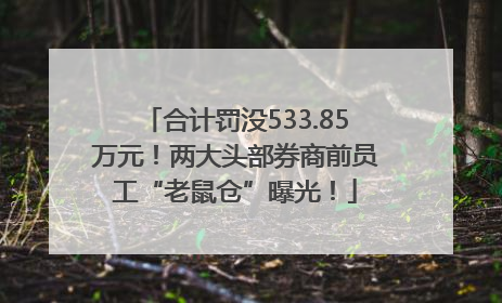 合计罚没533.85万元！两大头部券商前员工“老鼠仓”曝光！
