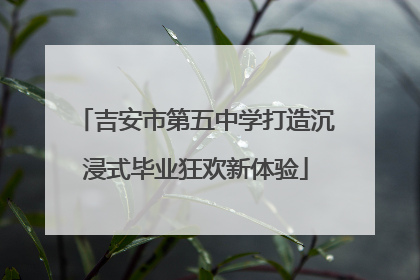 吉安市第五中学打造沉浸式毕业狂欢新体验