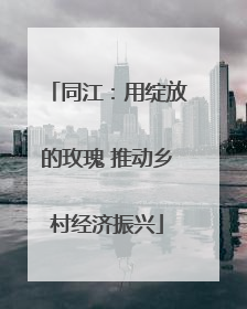 同江：用绽放的玫瑰 推动乡村经济振兴