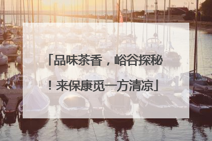 品味茶香，峪谷探秘！来保康觅一方清凉