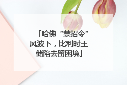 哈佛“禁招令”风波下，比利时王储陷去留困境