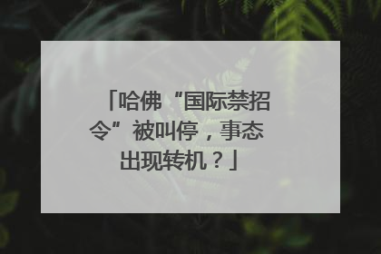 哈佛“国际禁招令”被叫停，事态出现转机？